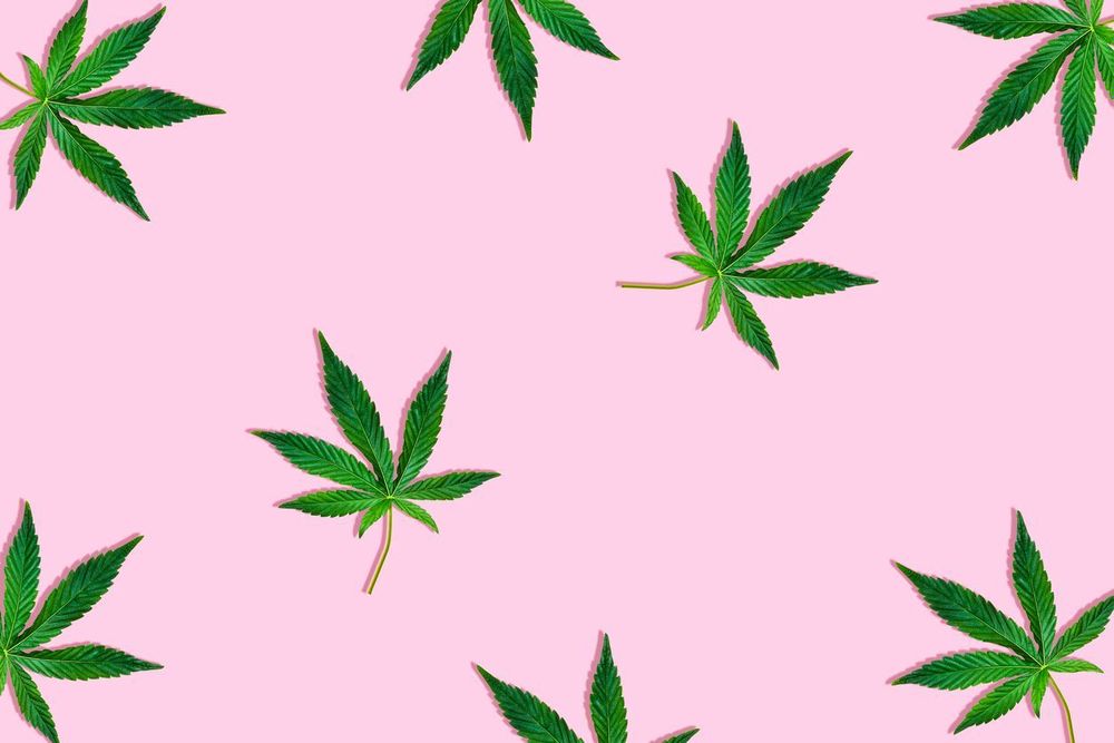lolaberry420 OnlyFans profile picture
