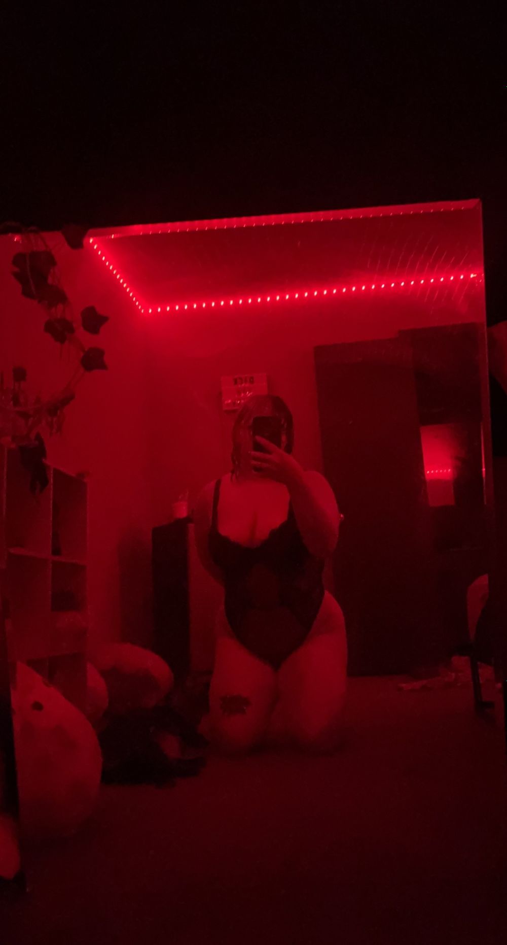 u269431739 OnlyFans profile picture