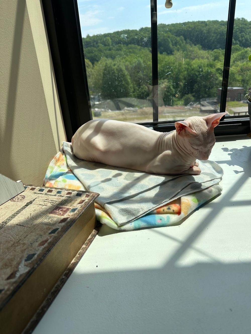 mimivonteats OnlyFans profile picture