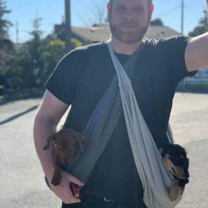 dogdilf OnlyFans picture