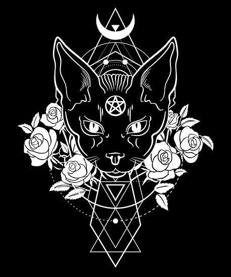 shadowrose_sub OnlyFans profile picture