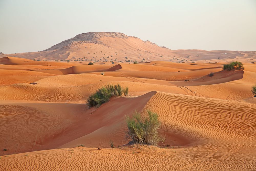 arabmen OnlyFans profile picture