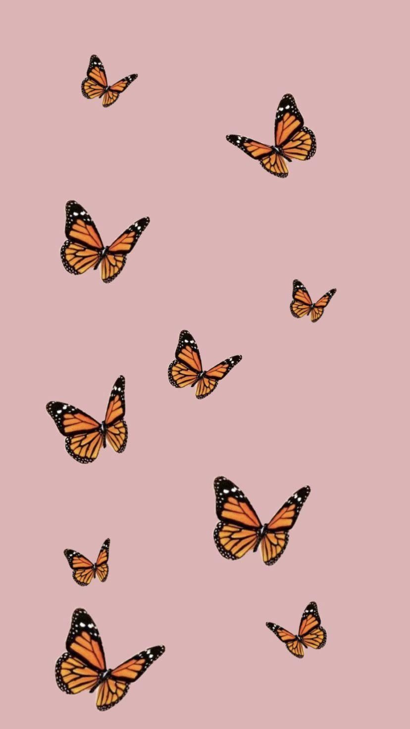 lyss779 OnlyFans profile picture