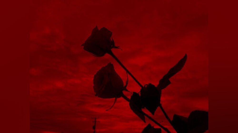 sabrinathedead OnlyFans profile picture