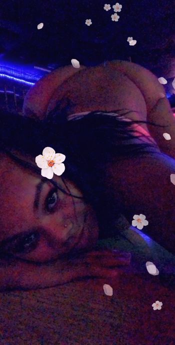 Vixen