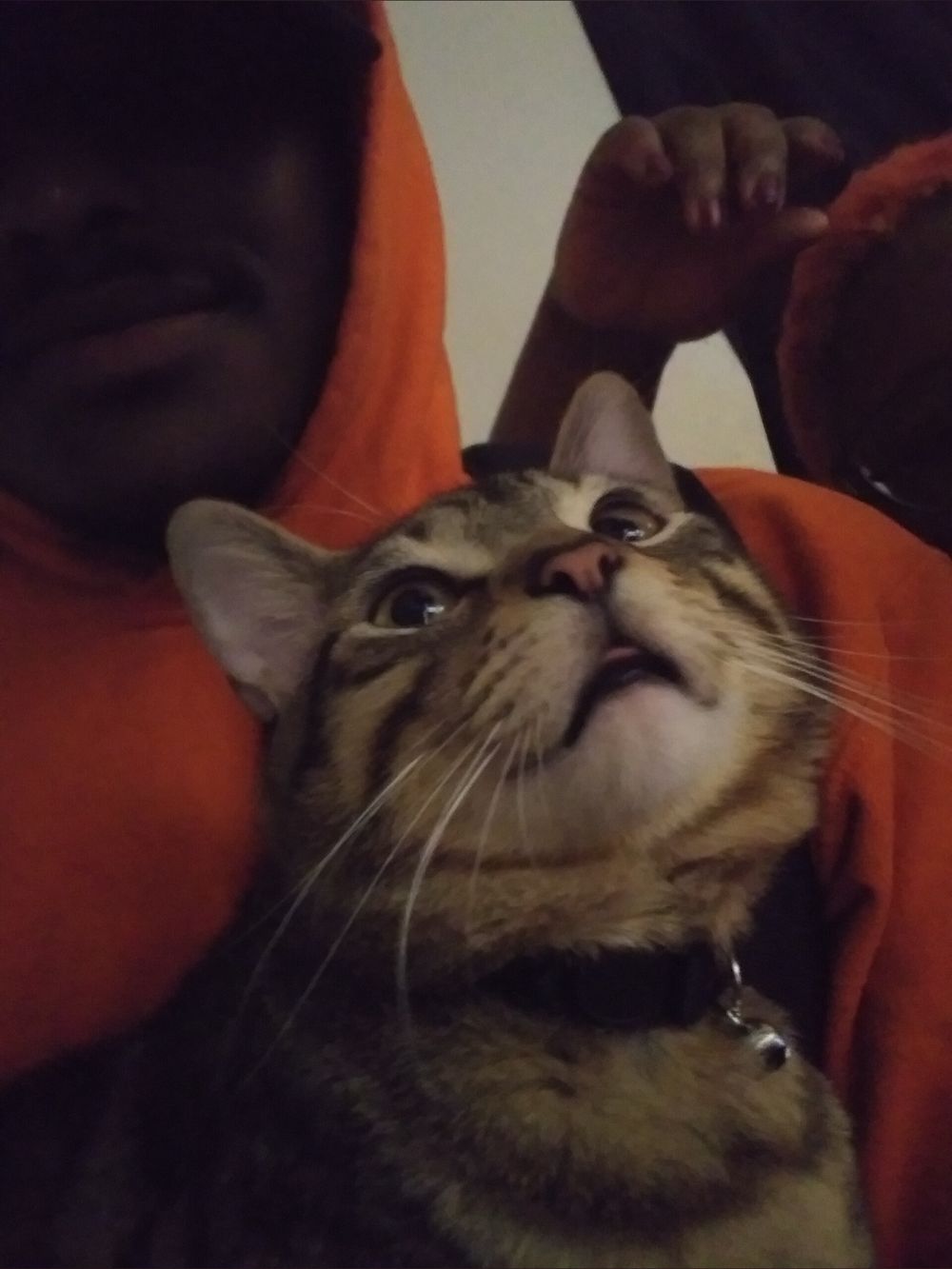 gemixbats OnlyFans profile picture