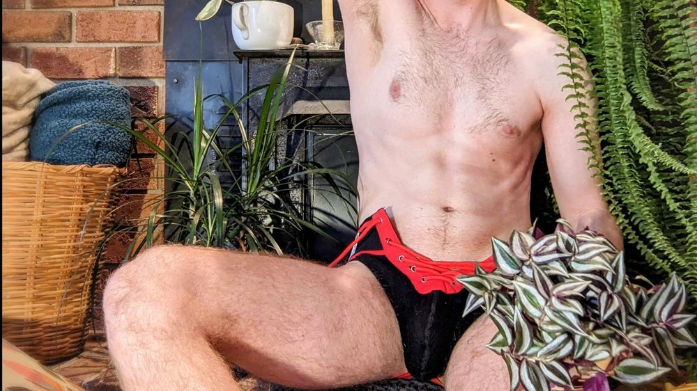 twinkerbellll OnlyFans profile picture