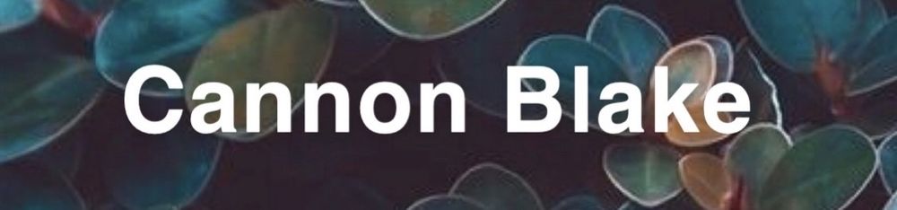 cannonblake OnlyFans profile picture