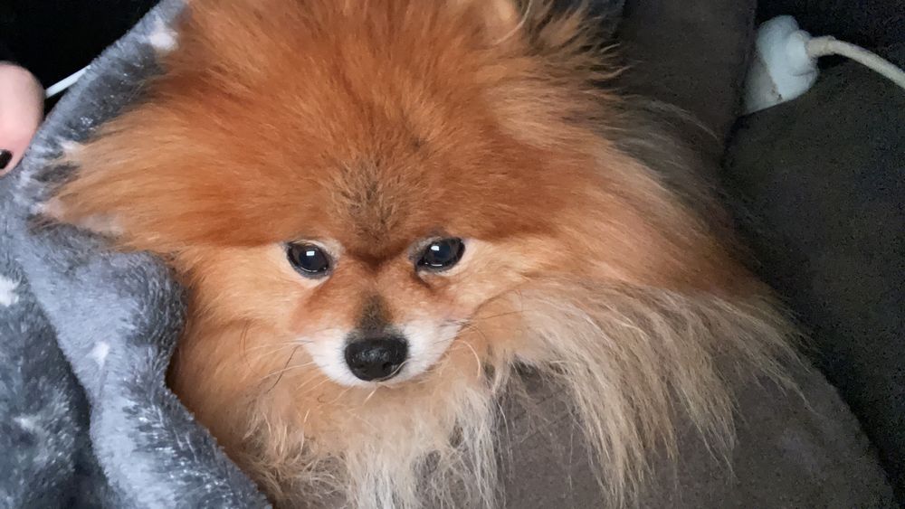 katiatorney OnlyFans profile picture