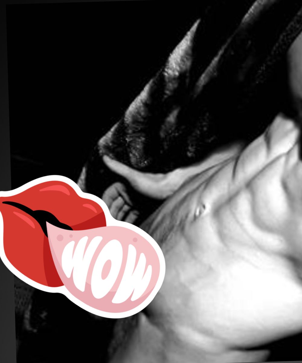 u36822112 OnlyFans profile picture