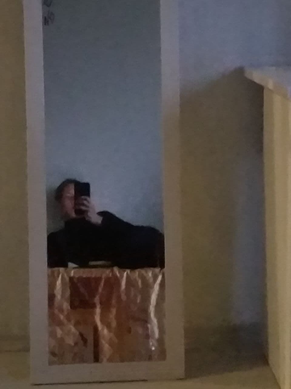 lehasss OnlyFans profile picture