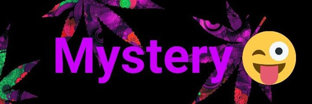 solvethemystery OnlyFans profile picture