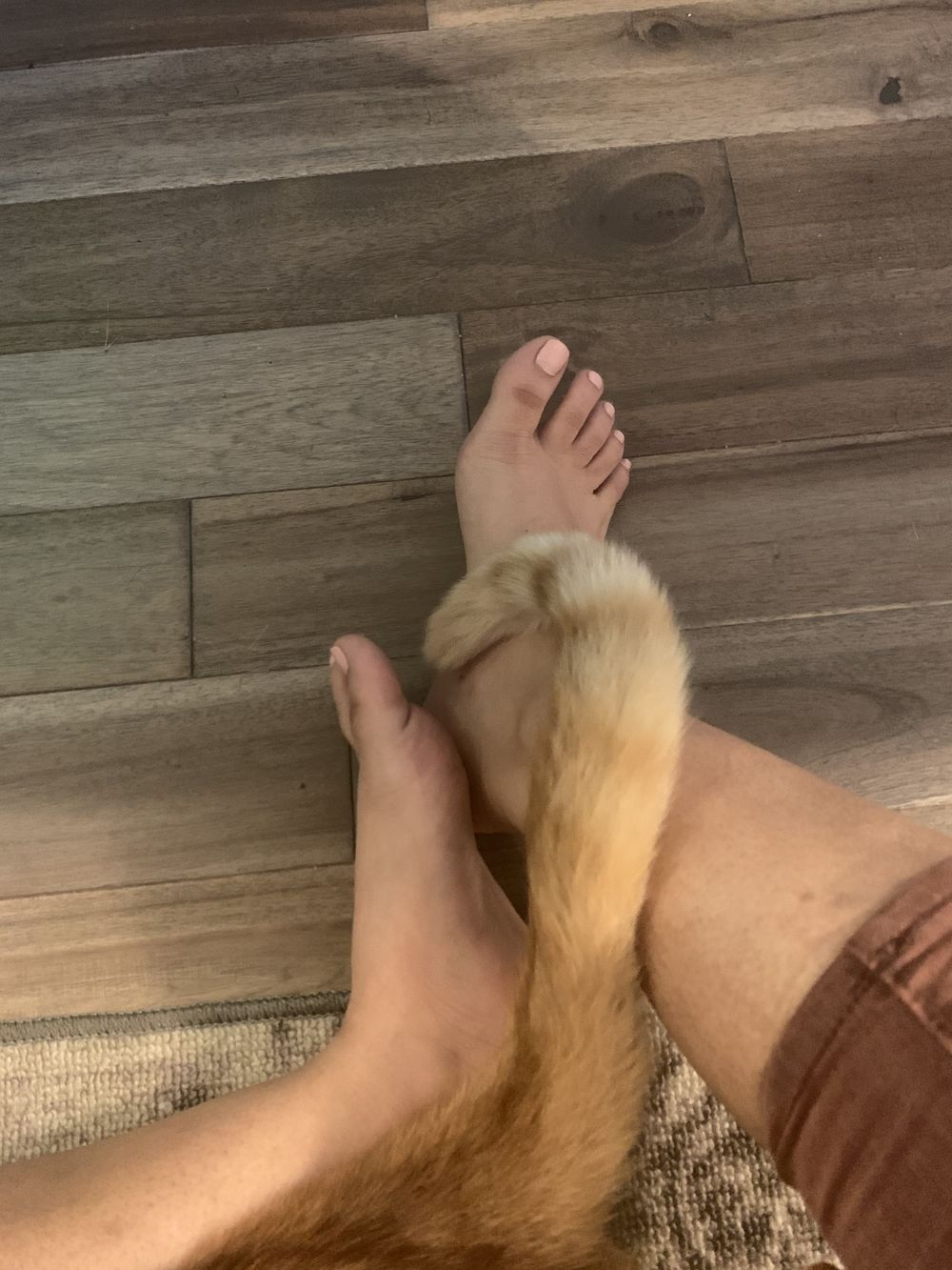 princessjena OnlyFans profile picture