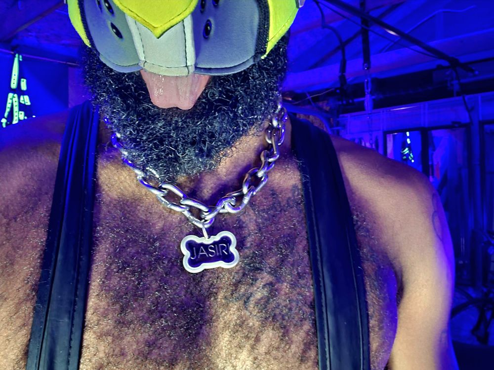 pupjasiri OnlyFans profile picture