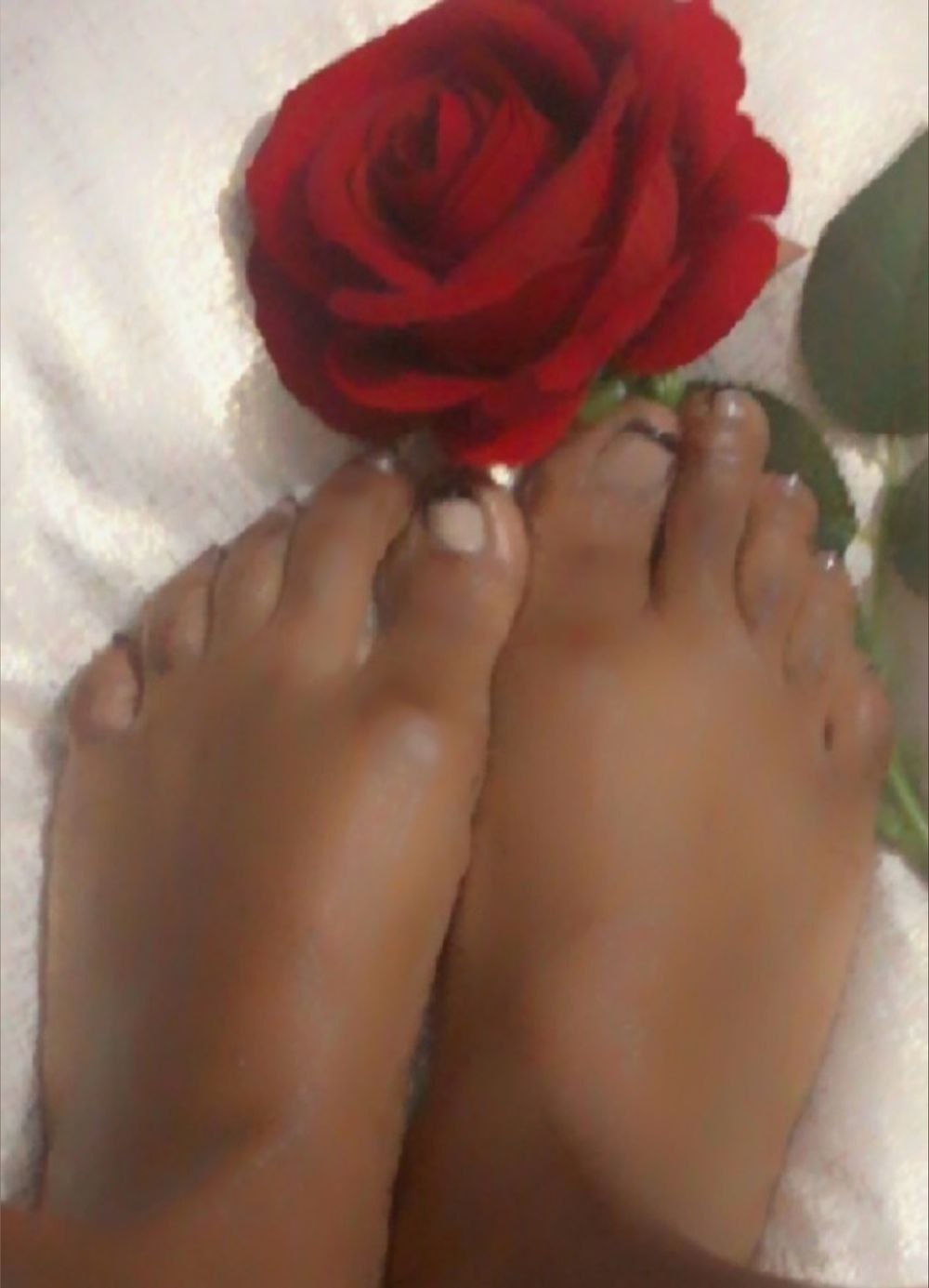 evashayfeet OnlyFans profile picture
