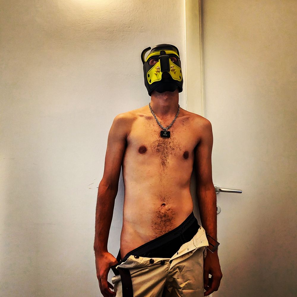 puppyray OnlyFans profile picture