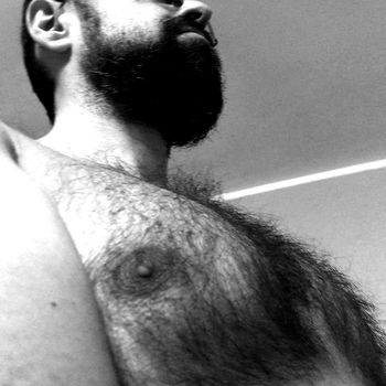 Hairy Teddy