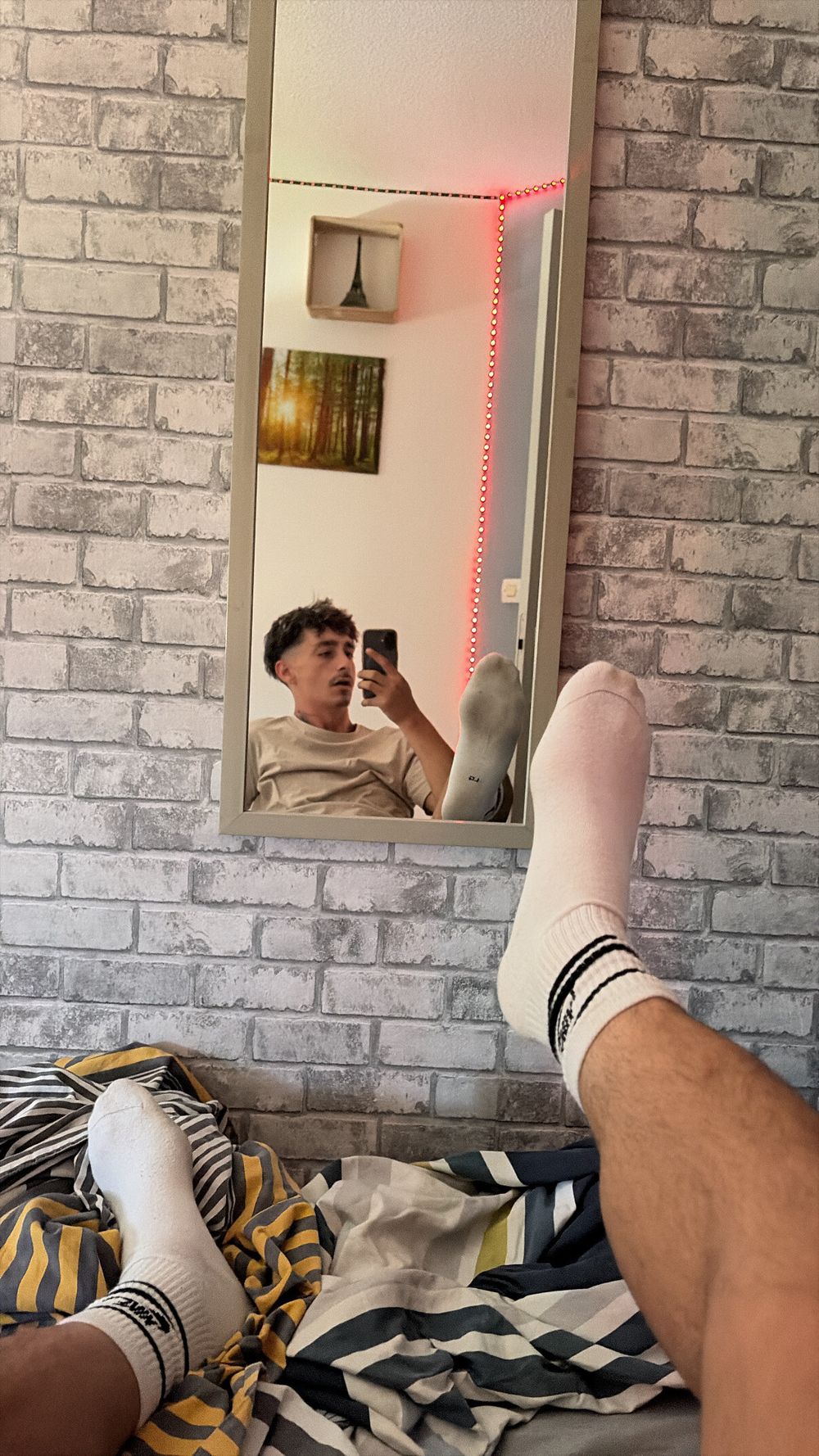 alexho24 OnlyFans profile picture
