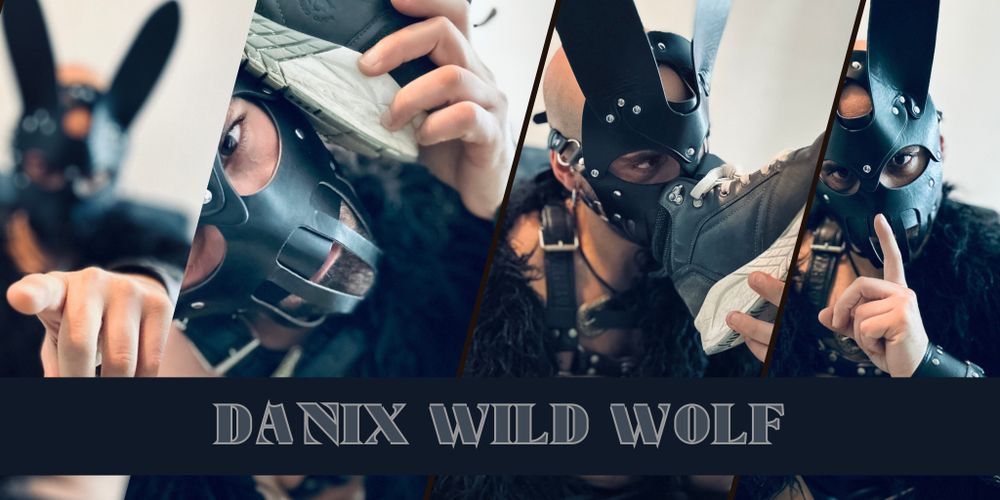 danixwildwolf OnlyFans profile picture