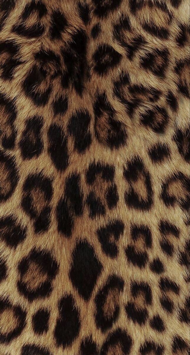 francesca24k OnlyFans profile picture