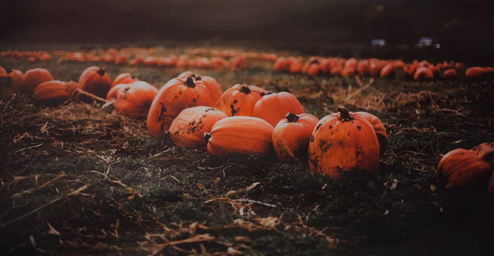 darknordicwitch OnlyFans profile picture