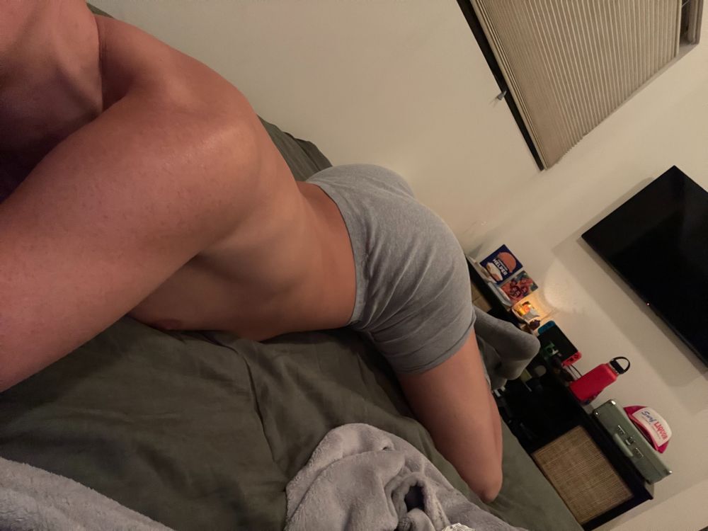 discosunflower OnlyFans profile picture