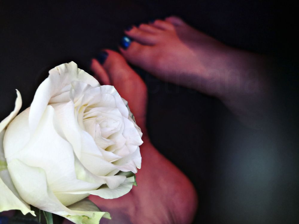 demicutefeet OnlyFans profile picture