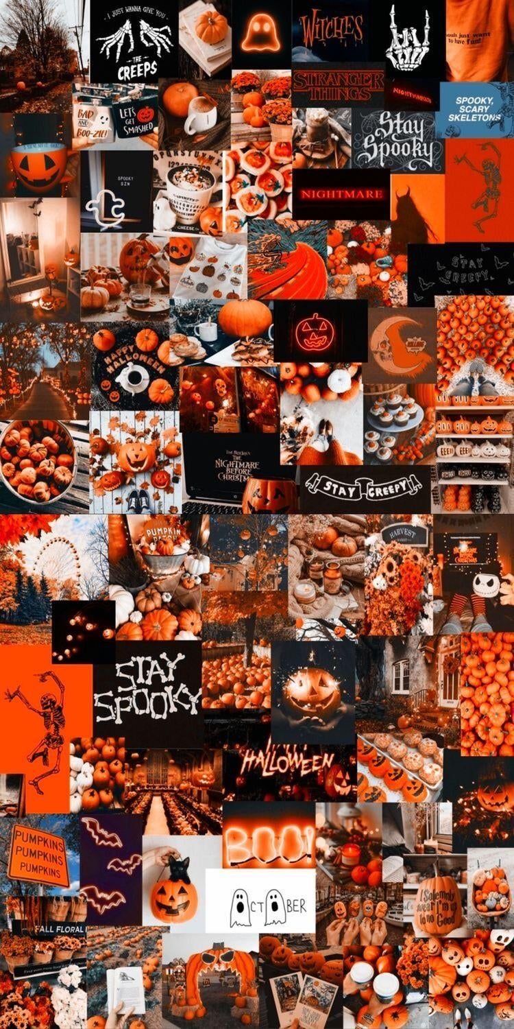 littlepumpkin98 OnlyFans profile picture