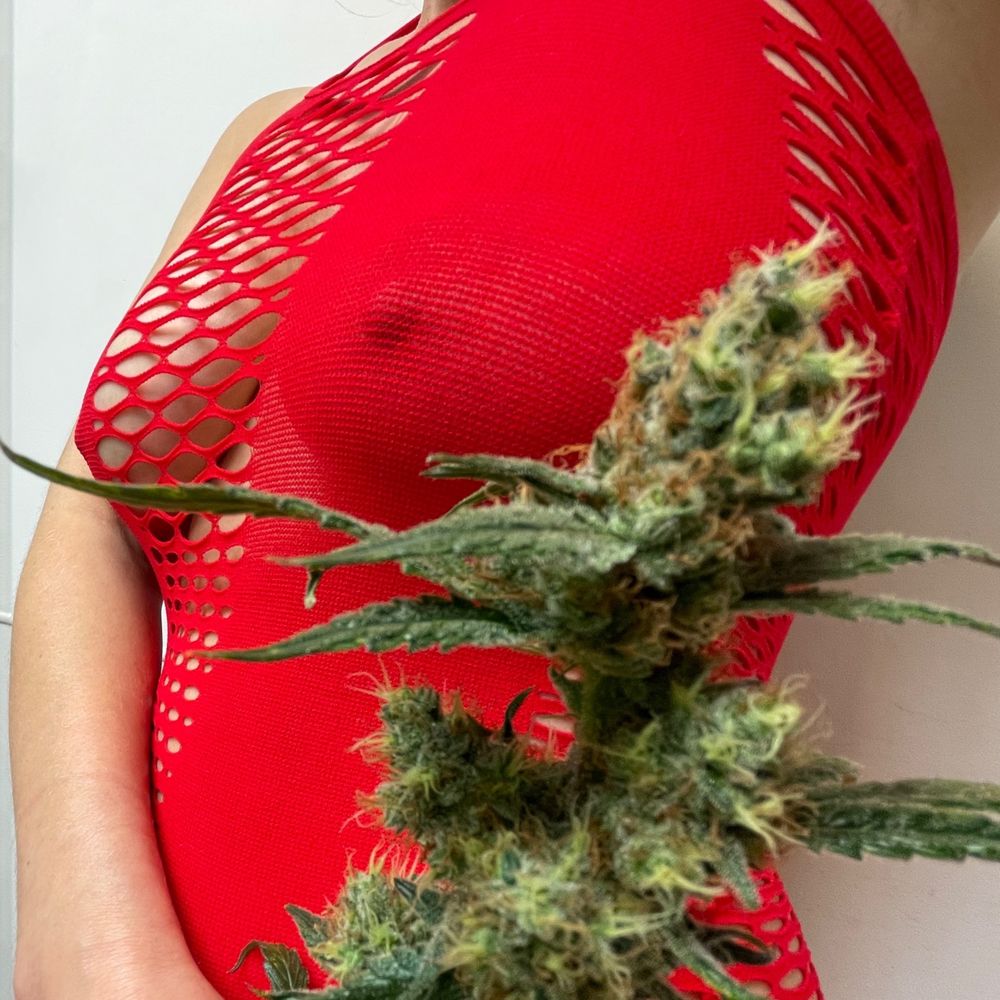 marialove421 OnlyFans profile picture