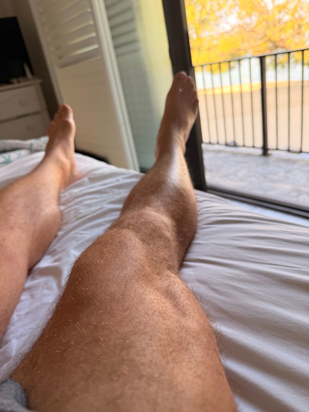 sexybeartx OnlyFans profile picture