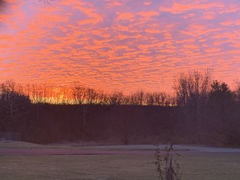 100% FREE: Access f.bunny7 OnlyFans For Free (2023) | FansMetrics.com