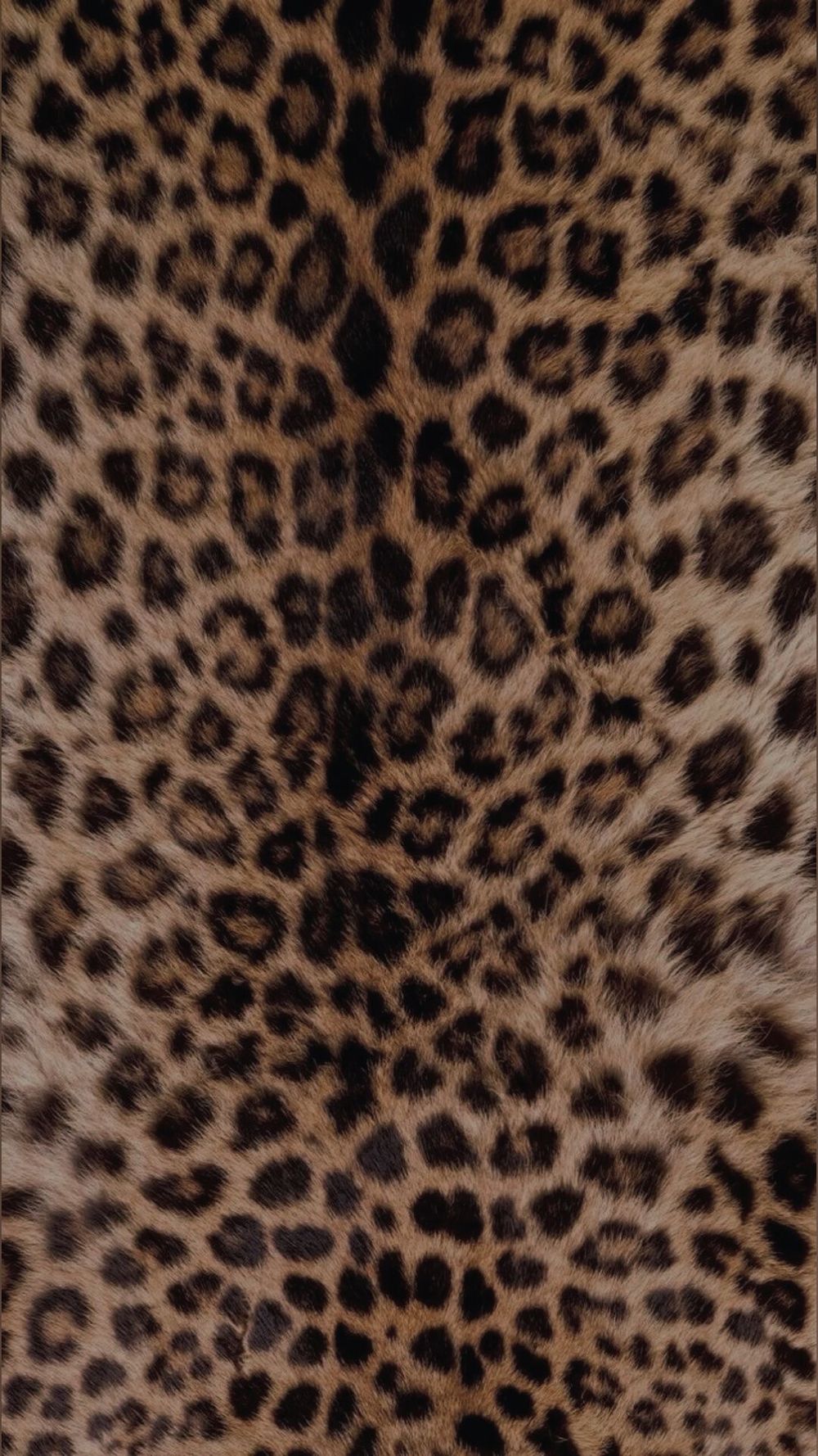 malloryluvmoney OnlyFans profile picture