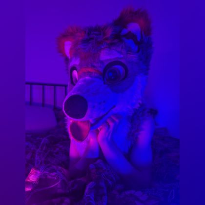 miloblackstar OnlyFans picture