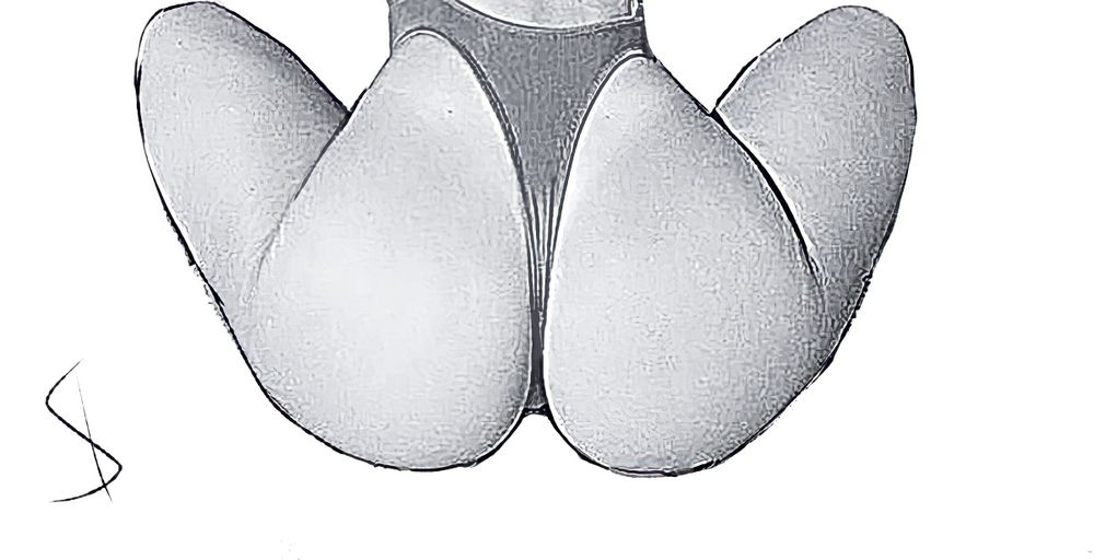 digitalhotsan OnlyFans profile picture