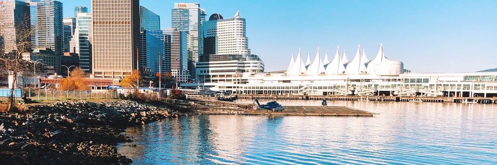 tunegrovergo OnlyFans profile picture