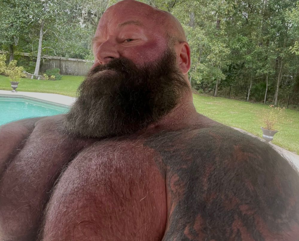daddybear315lbs OnlyFans profile picture