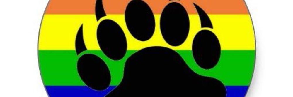 pocketbear82 OnlyFans profile picture