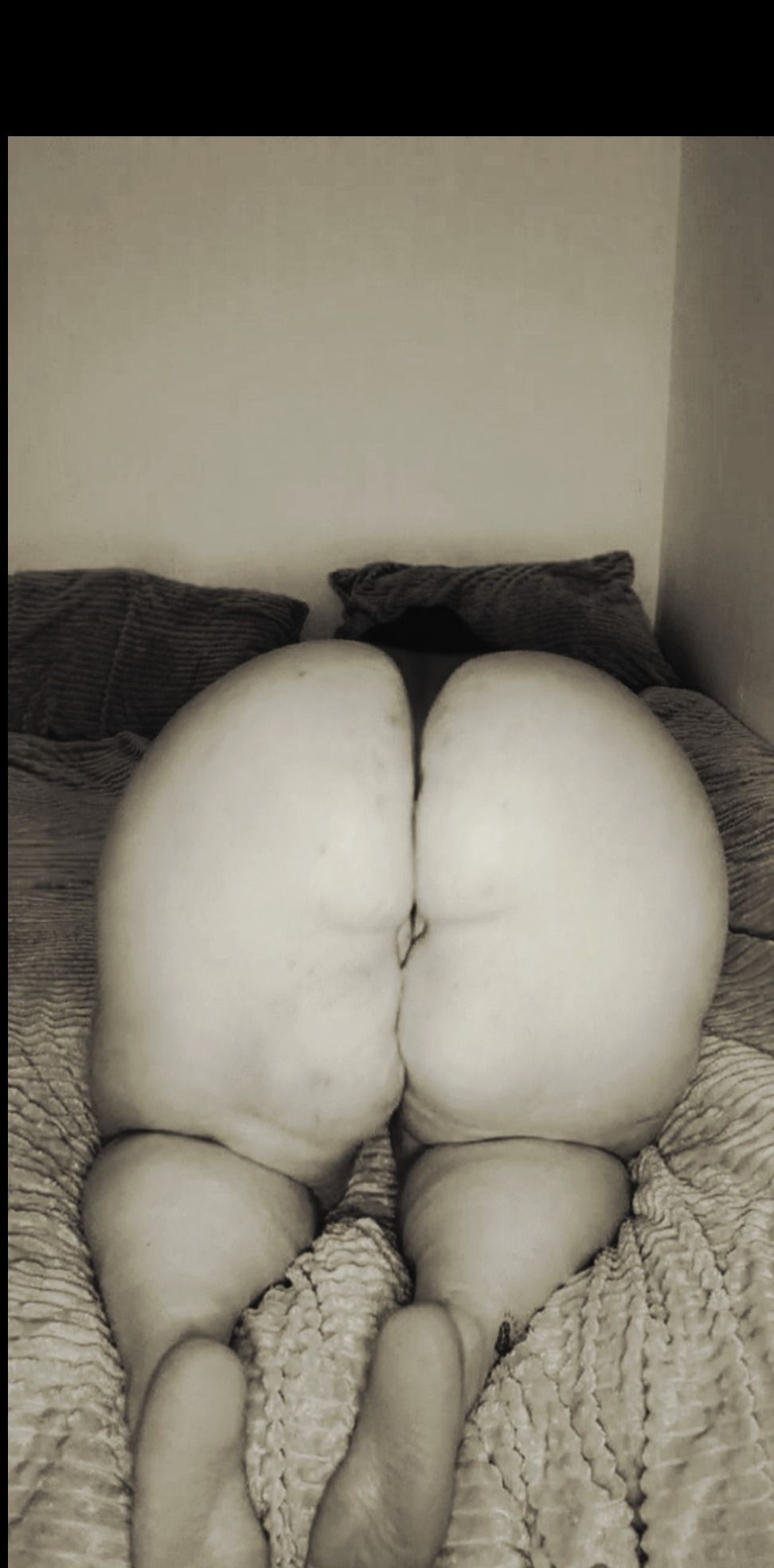 rennierose22 OnlyFans profile picture