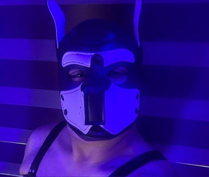 morfeowolf OnlyFans picture