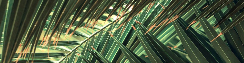 bimmy OnlyFans - Stats, Graphs, Photos & Profile Comparisons