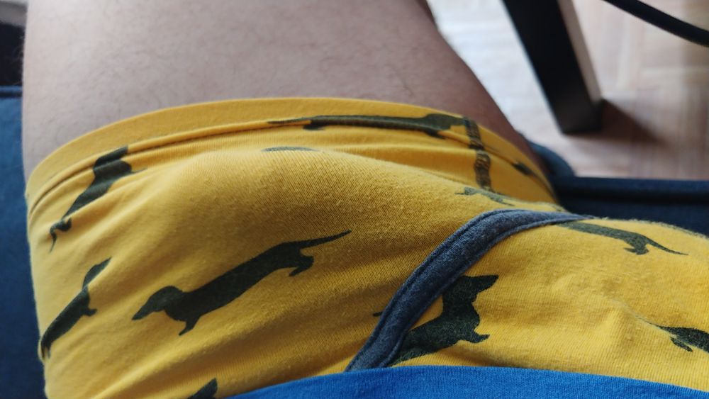 panboricua OnlyFans profile picture