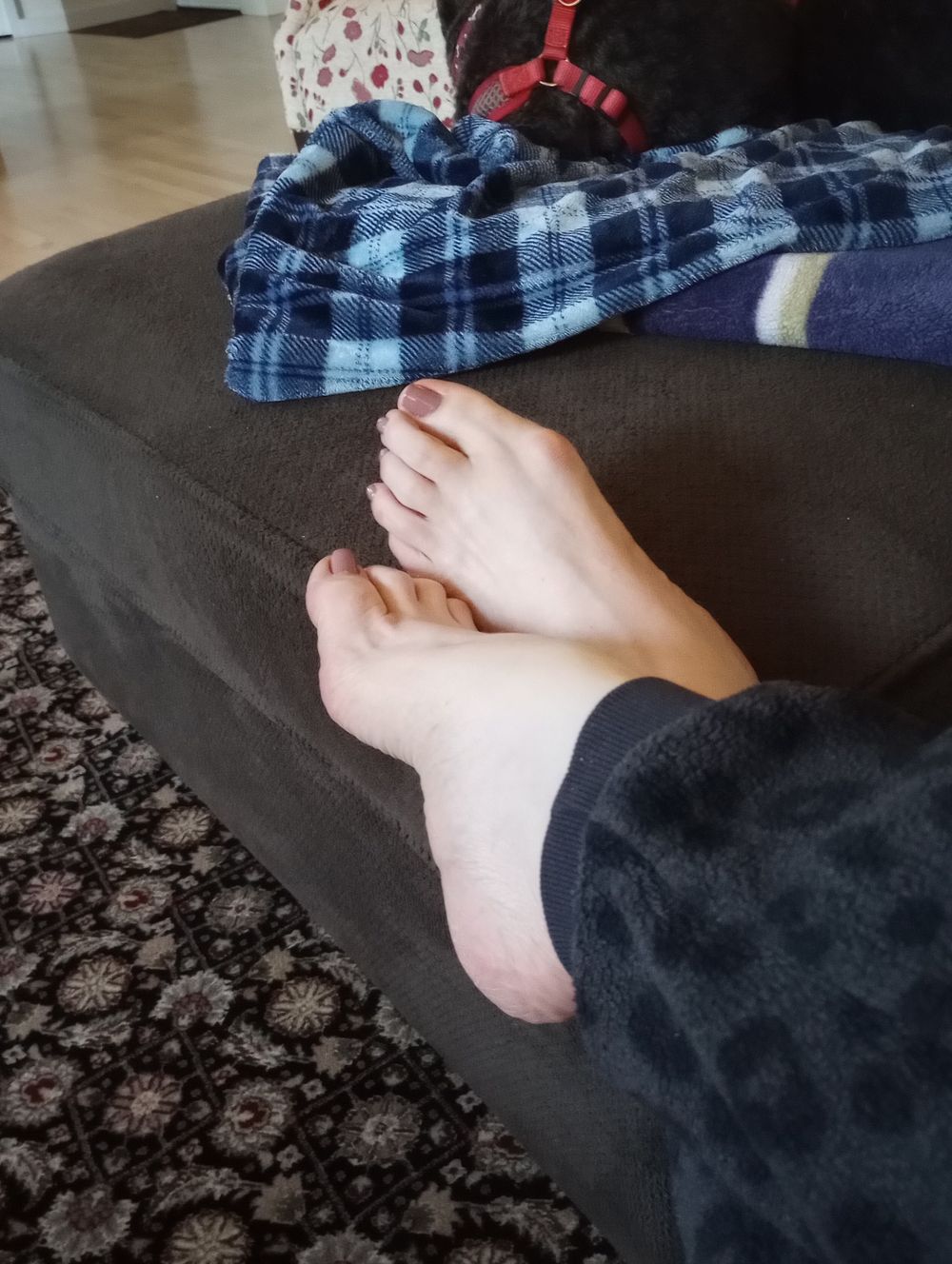 u308114148 OnlyFans profile picture