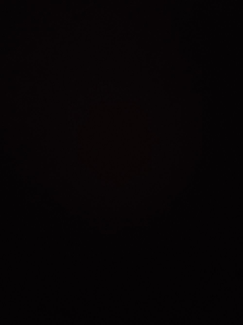 stellakingsly OnlyFans profile picture