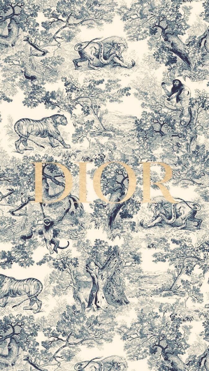 diorbaaby OnlyFans profile picture