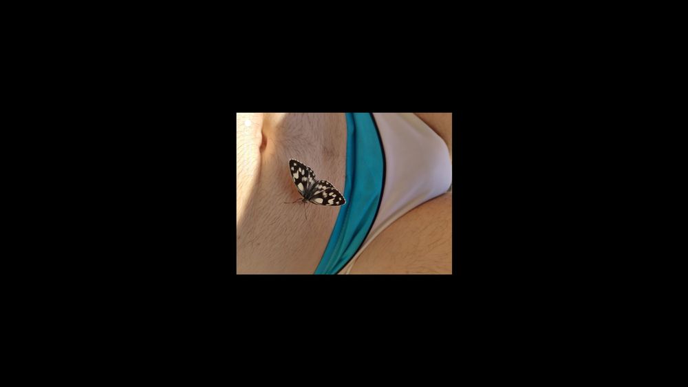 maskedtoyy OnlyFans profile picture