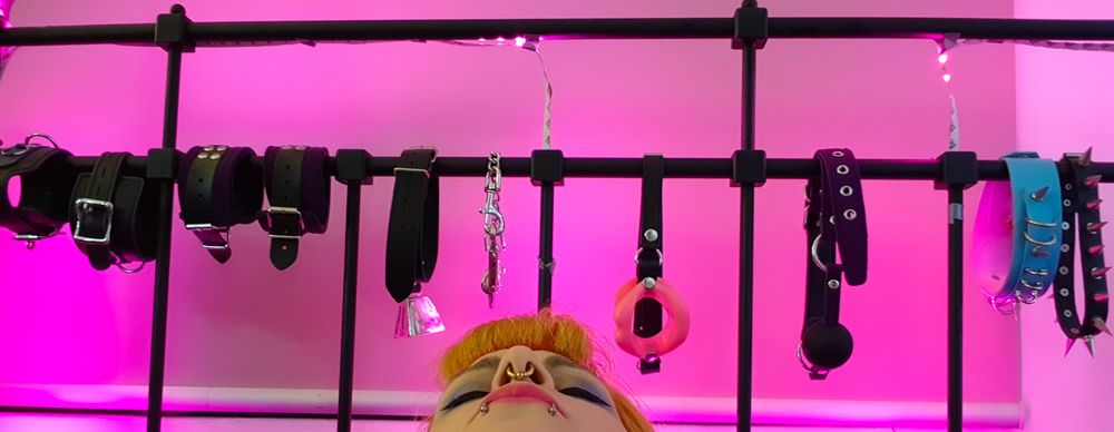 girlrecoded OnlyFans profile picture