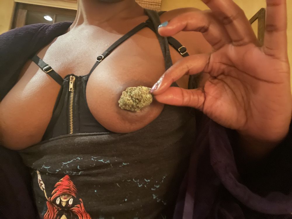 glittersaurusrex OnlyFans profile picture