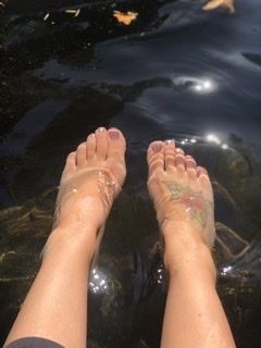 briebriesfeet OnlyFans profile picture