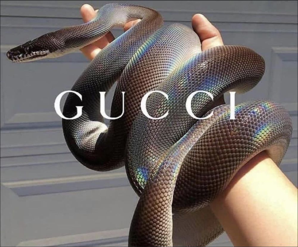 dubss OnlyFans profile picture