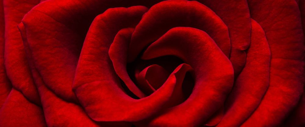 scarletlovella OnlyFans profile picture